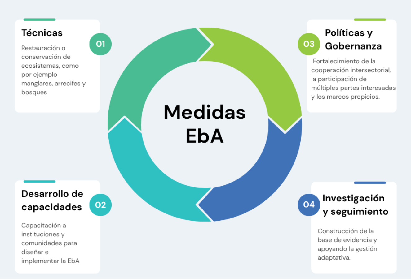 Imagen en Español